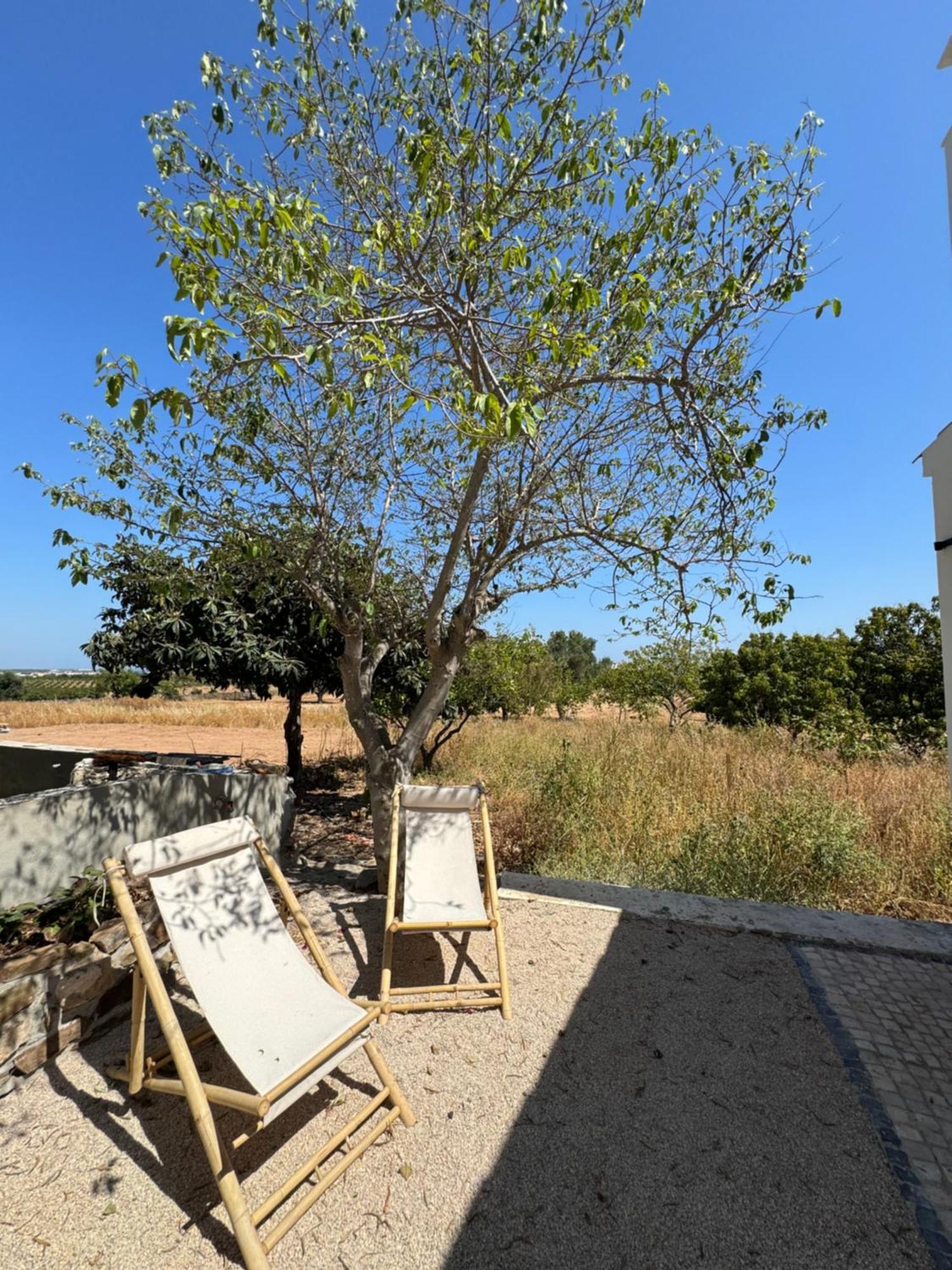 Quinta Castor Villa Vila Nova de Cacela Ngoại thất bức ảnh