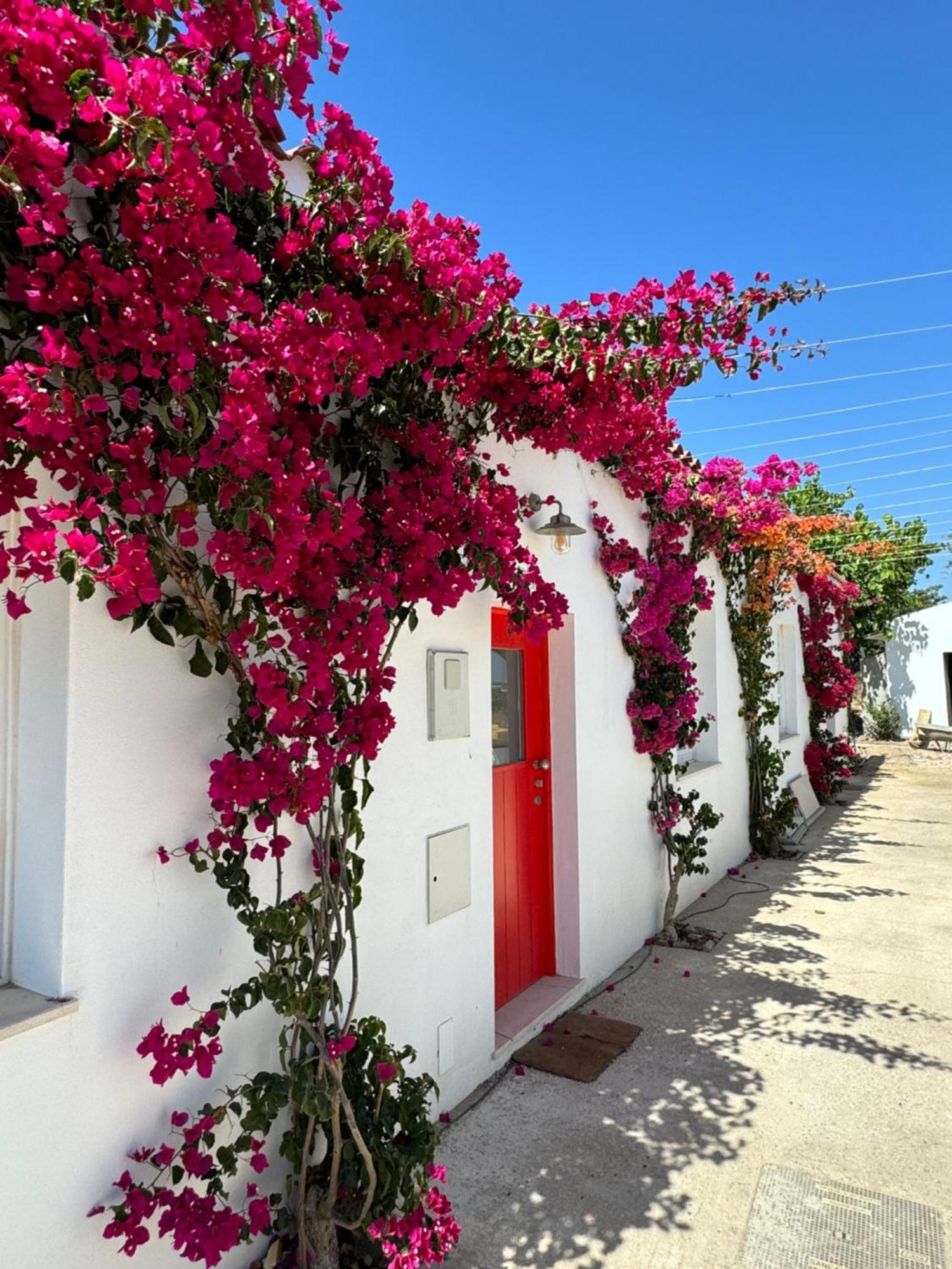 Quinta Castor Villa Vila Nova de Cacela Ngoại thất bức ảnh