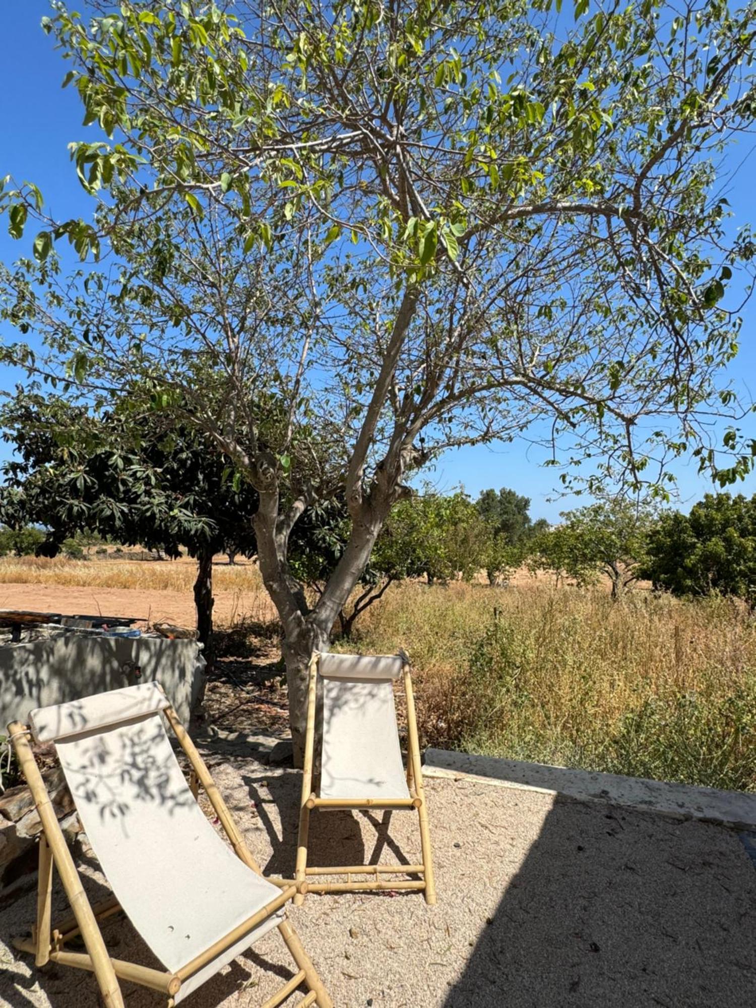 Quinta Castor Villa Vila Nova de Cacela Ngoại thất bức ảnh