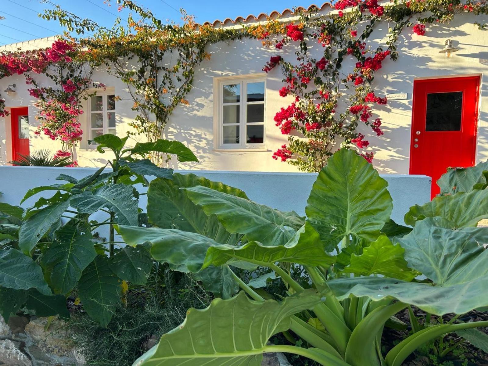 Quinta Castor Villa Vila Nova de Cacela Ngoại thất bức ảnh